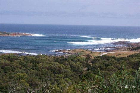 32 Top Farm Trk, Granville Harbour, TAS 7469