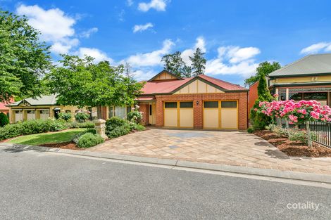 Property photo of 3 Bronzewing Place Tea Tree Gully SA 5091
