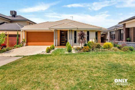 19 Curzon St, Clyde North, VIC 3978