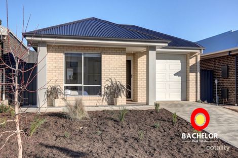 9 Spinebill St, Mount Barker, SA 5251