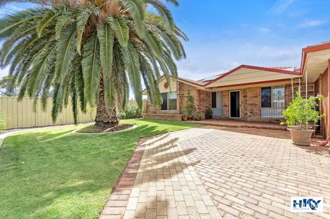 258 Eddystone Ave, Beldon, WA 6027