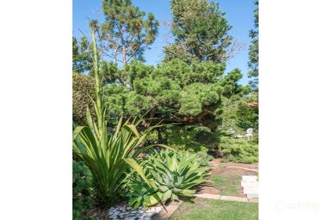 Property photo of 17 Prince Street Hampton VIC 3188