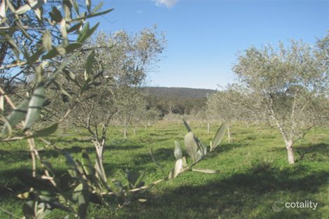 124/124-B Duns Creek Rd, Duns Creek, NSW 2321