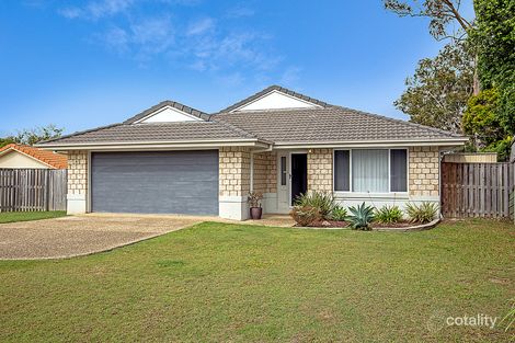 Property photo of 8 Bluefen Court Upper Coomera QLD 4209