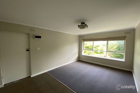 8/80 Woornack Rd, Carnegie, VIC 3163