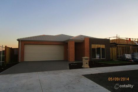 16 Blueberry St, Greenvale, VIC 3059