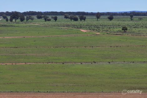 1521 Bruie Plains Rd, Trundle, NSW 2875