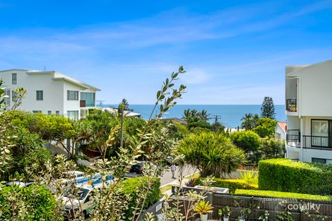 Property photo of 6/4 Park Crescent Sunshine Beach QLD 4567
