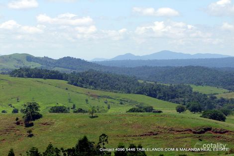 Property photo of 25 Pine Street South Millaa Millaa QLD 4886