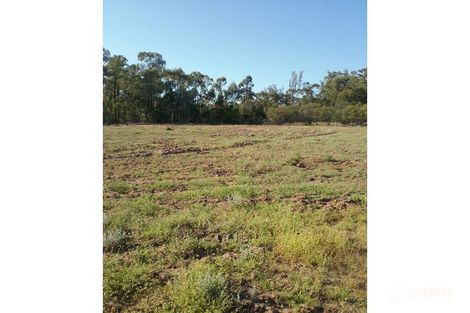 240 Evans Lane, Pilliga, NSW 2388