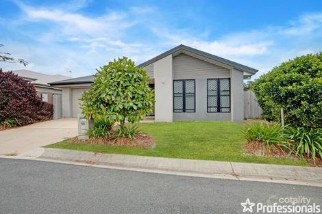 Property photo of 59 Whitefig Close Andergrove QLD 4740