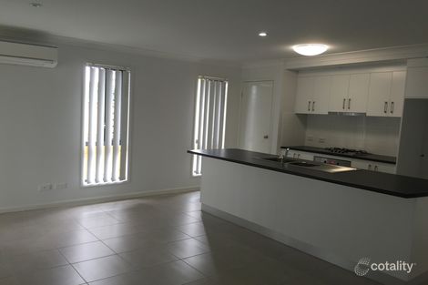 Property photo of 59 Whitefig Close Andergrove QLD 4740