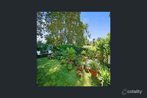 Property photo of 12 Kauri Street Cooroy QLD 4563