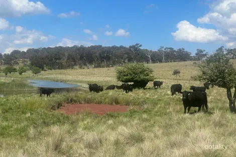 400 Bullock Mountain Rd, Yarrowford, NSW 2370