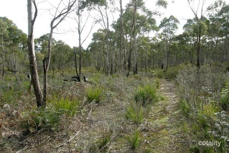 Lot 3 Gillies Rd, St Marys, TAS 7215