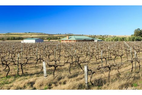 381 Milbrodale Rd, Fordwich, NSW 2330