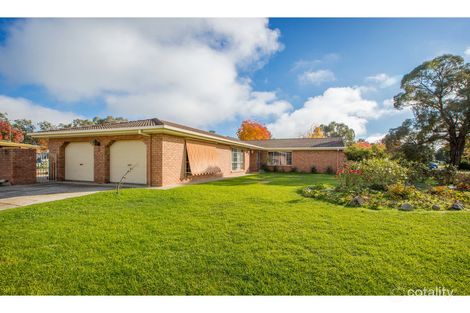 Property photo of 14 St Andrews Circuit Thurgoona NSW 2640