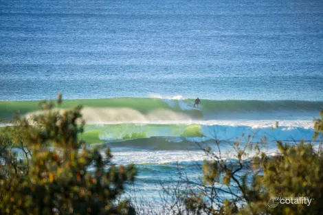 Property photo of 21 Kestrel Crescent Peregian Beach QLD 4573