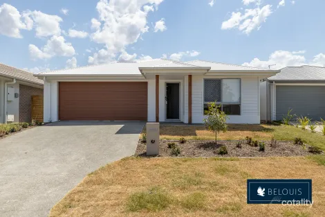 Property photo of 21 Janet Street Walloon QLD 4306