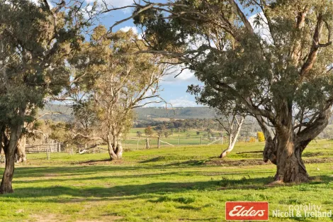 Property photo of 66 George Thomas Close The Lagoon NSW 2795