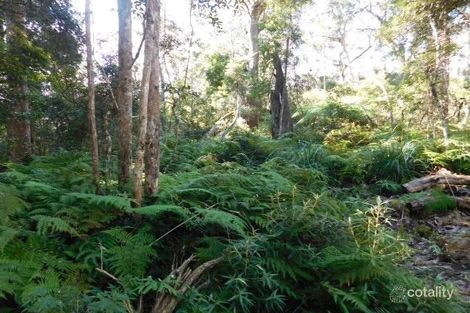 52 Canyon Pde, Springbrook, QLD 4213