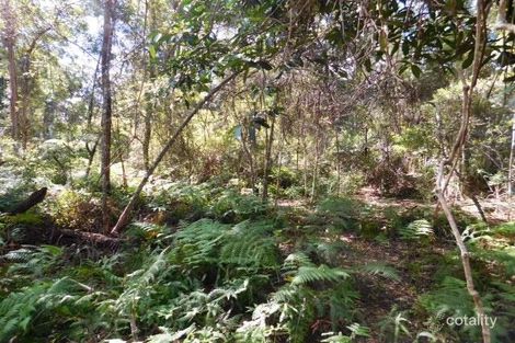 Property photo of 52 Canyon Parade Springbrook QLD 4213