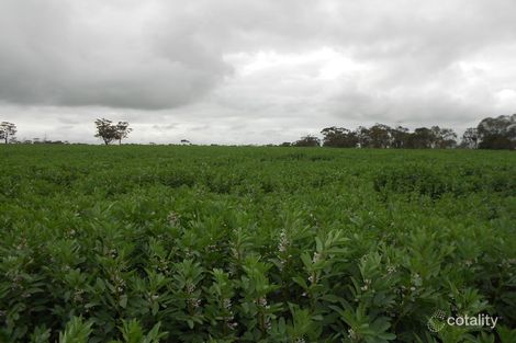 Lot 453 Siding Rd, Cannawigara, SA 5268