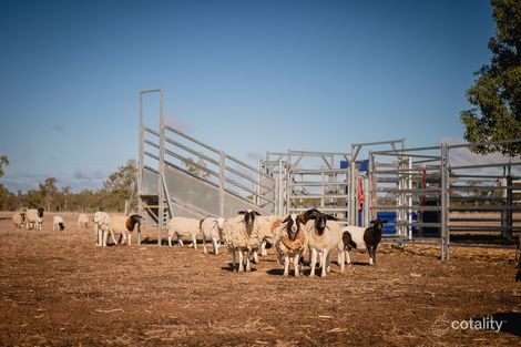 365 Corfe Rd, Roma, QLD 4455