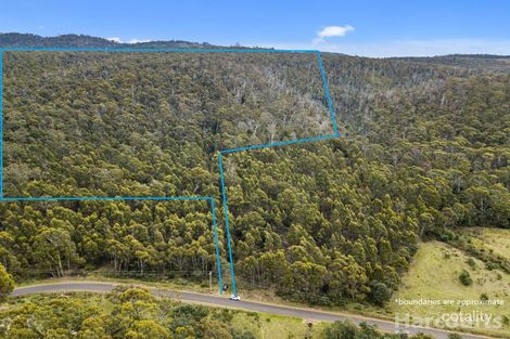 1175 Woodsdale Rd, Levendale, TAS 7120