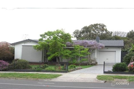 Property photo of 24 Pinewood Drive Mount Waverley VIC 3149
