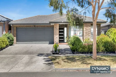 Property photo of 50 Pine Park Drive Wollert VIC 3750