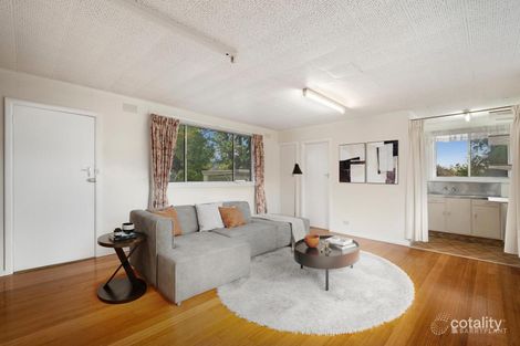 Property photo of 19 Packham Street Box Hill North VIC 3129