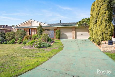 Property photo of 6 Harrier Place Yangebup WA 6164