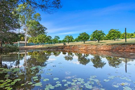 Property photo of 187 Springvale Road Tinana QLD 4650