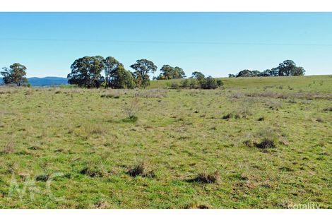 34 Long Swamp Rd, Forest Reefs, NSW 2798