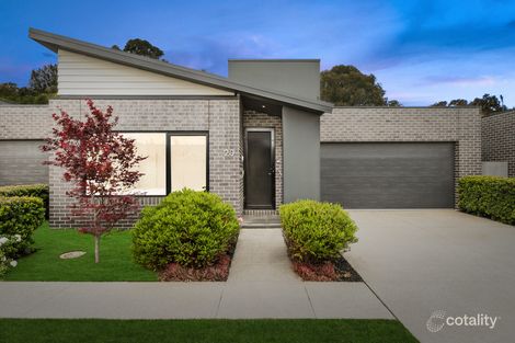 20/12 Balcombe Rd, Newtown, VIC 3220