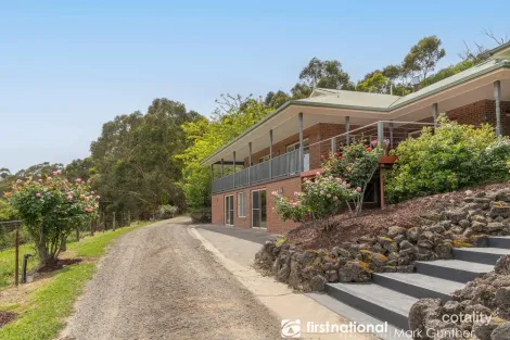 Property photo of 115 Donnellys Weir Road Healesville VIC 3777