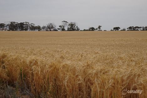 1799 Nambadilling Rd, Kurrenkutten, WA 6375