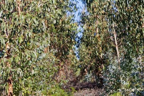 Property photo of 140 Pennyroyal-Wymbooliel Road Murroon VIC 3243