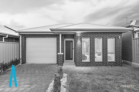 Property photo of 22A Fulton Street Gilles Plains SA 5086