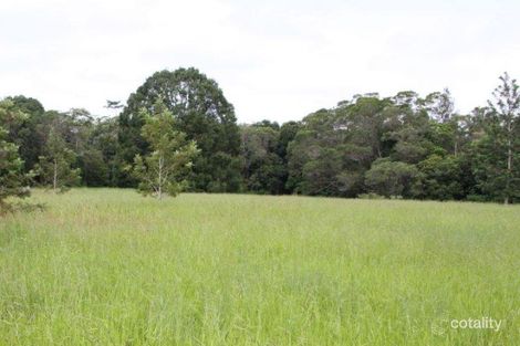 Property photo of 31 Cleminson Close Malanda QLD 4885