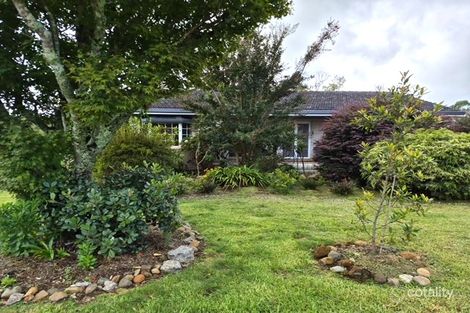 4 Kurrajong St, Dorrigo, NSW 2453