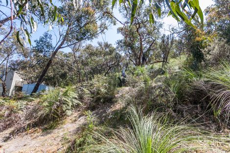 Property photo of 30 Niblick Street Anglesea VIC 3230
