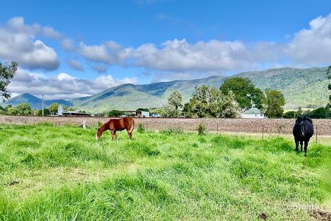 1545 Nowendoc Rd, Mount George, NSW 2424