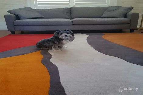 Property photo of 7 Curtis Road Balmain NSW 2041