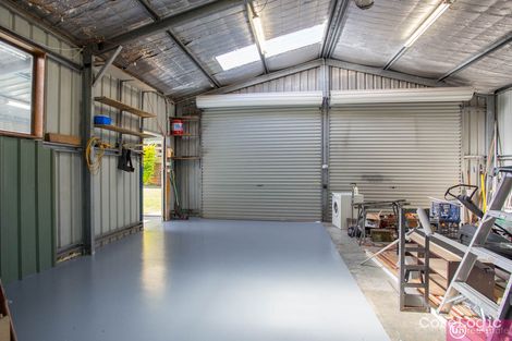 Property photo of 38 Amaroo Crescent Toormina NSW 2452