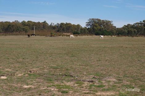 Mitchell Creek Rd, Hilldene, VIC 3660