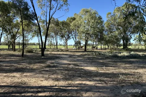 Property photo of 1122 Willaroo Road Boggabilla NSW 2409