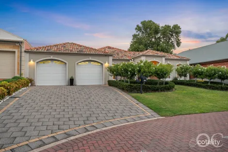 14 Henry Martin Sq, Magill, SA 5072