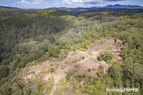 Property photo of 1739 Eastern Dorrigo Way Ulong NSW 2450